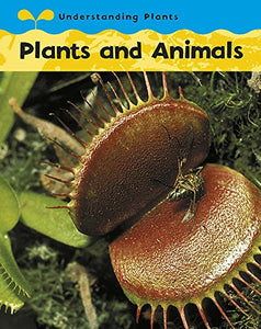 Plants and Animals 