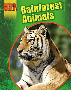 Rainforest Animals 