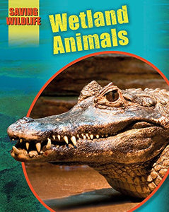 Wetland Animals 