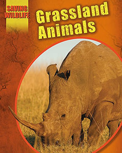 Grassland Animals 