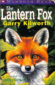 The Lantern Fox 