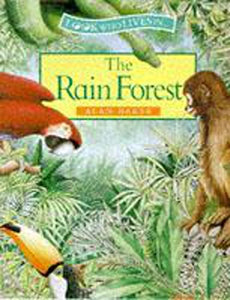 The Rain Forest 