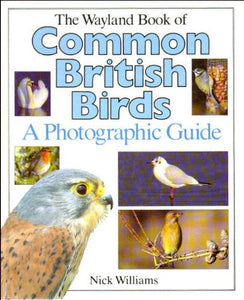 Common British Birds 