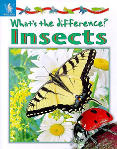 Insects 