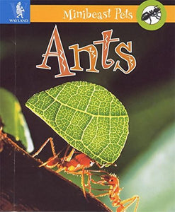 Ants 