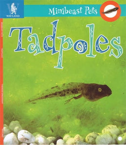 Tadpoles 