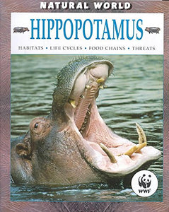 Hippopotamus 