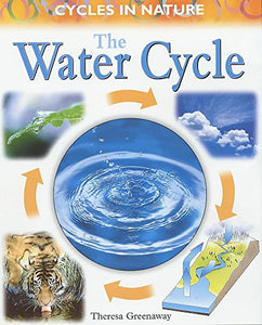 Water Cycle 