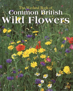 Wayland Book of Common British Wild Flowers 