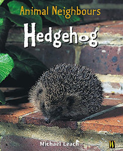 Hedgehog 