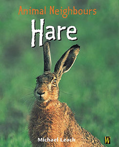 Hare 