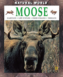 Moose 