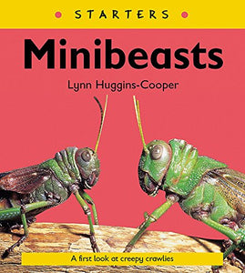 Read Write Inc. Comprehension: Module 24: Children's Book: Mini Beasts 