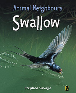 Swallow 