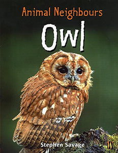 Owl 