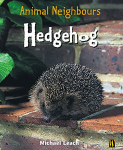 Hedgehog 