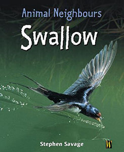 Animal Neighbours: Swallow 