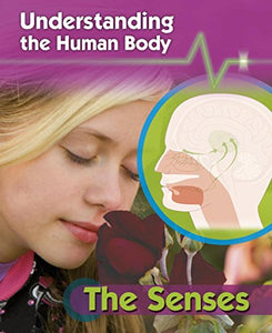 Understanding the Human Body: The Senses 