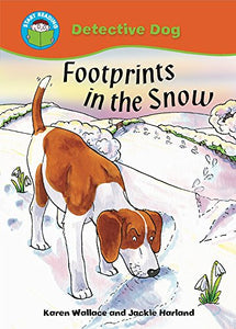 Footprints in the Snow 