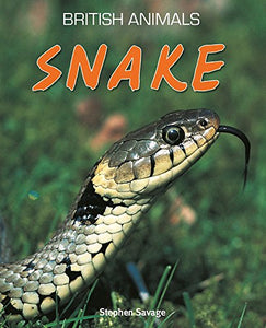 British Animals: Snake 