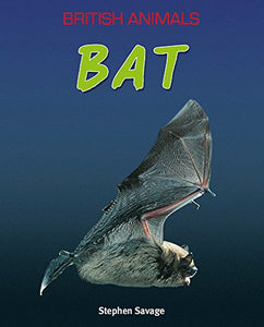 British Animals: Bat 