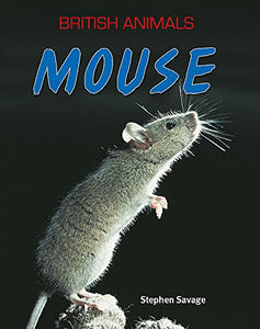 British Animals: Mouse 