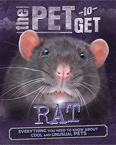 The Pet to Get: Rat 