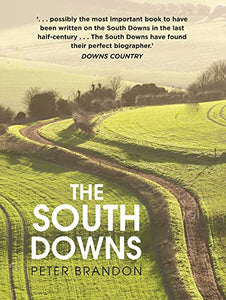 The South Downs 