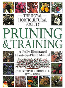 RHS Pruning & Training 