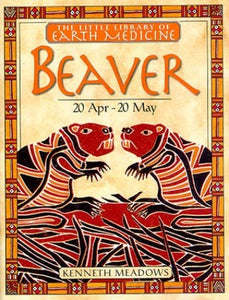 Little Earth Medicine:  2 Beaver 