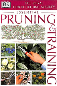 RHS Pruning and Training 