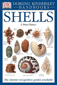 DK Handbook:  Shells 