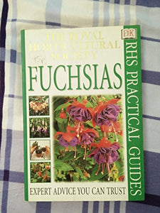 Fuchsias 