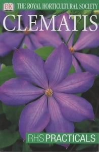 Clematis 