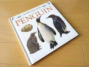 See How They Grow:  15 Penguin 