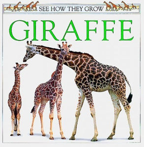 See How They Grow:  16 Giraffe 