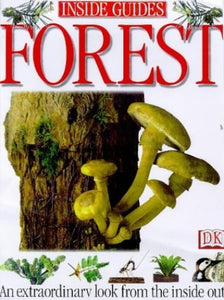 Inside Guide:  Forest 