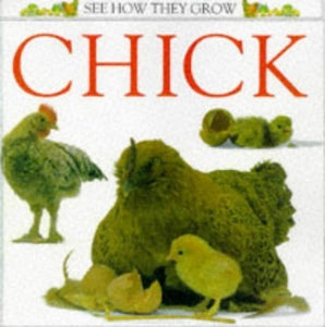 See How They Grow:  Chick 