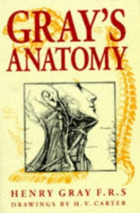 Gray's Anatomy 