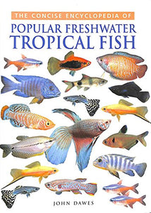 Tropical Fish 