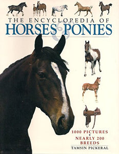 Horses & Ponies Dutchbound Cover 