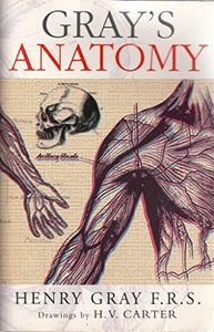 Anatomy 