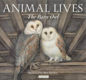 Barn Owl 