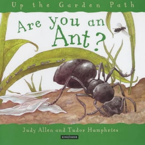 Are You an Ant? 