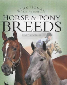 Horse and Pony Breeds 