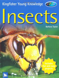 Insects 