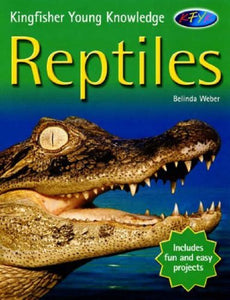 Reptiles 