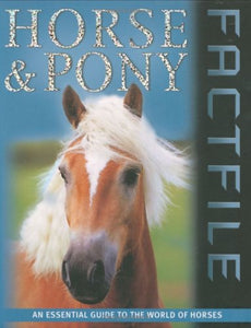 Horse and Pony Factfile 