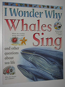 I Wonder Why Whales 