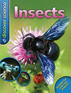 Discover Science: Insects 